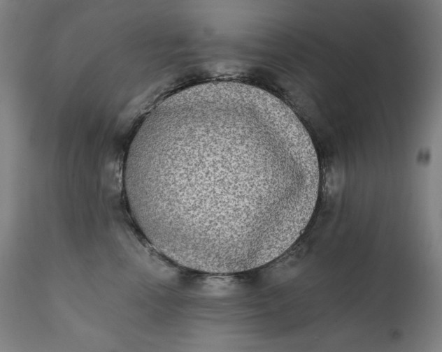 X0000111220666200907161253