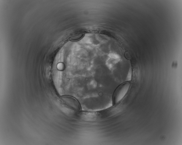 X0000111220671200907161253