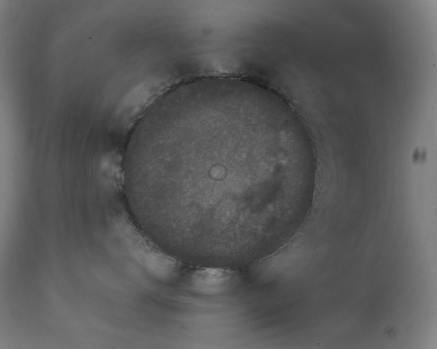 X0000111220672200907161253