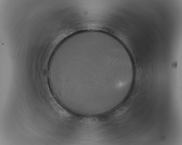 X0000111220673200907161252