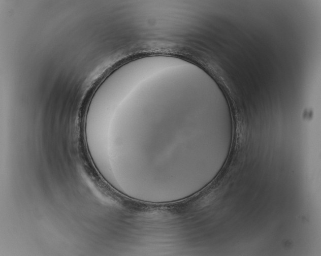 X0000111220674200907161252
