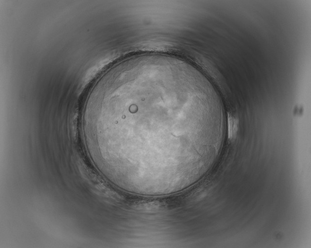 X0000111220675200907161252
