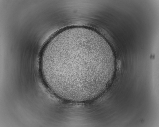 X0000111220676200907161252
