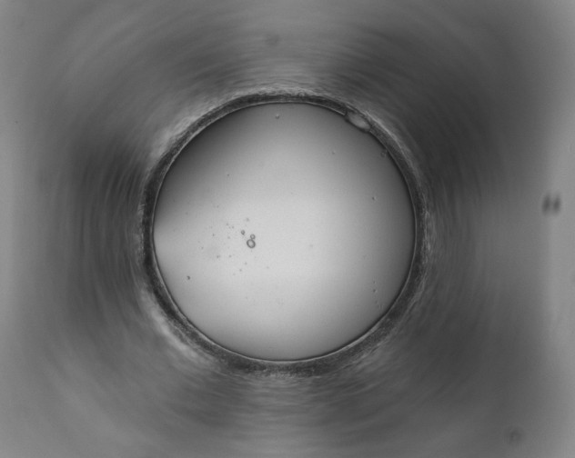 X0000111220677200907161252