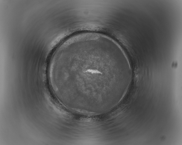 X0000111220679200907161252