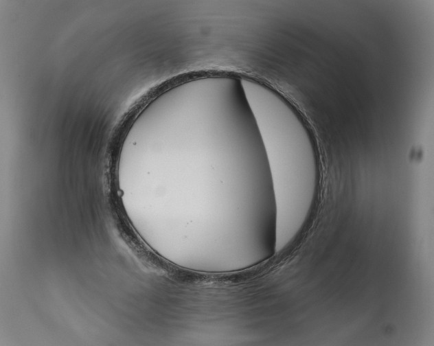 X0000111220680200907161252