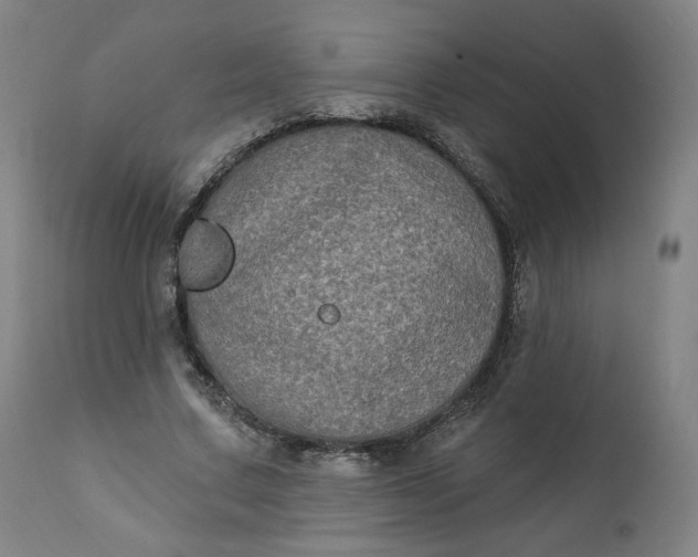 X0000111220683200907161252
