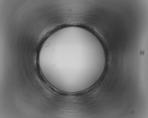 X0000111220685200907161252