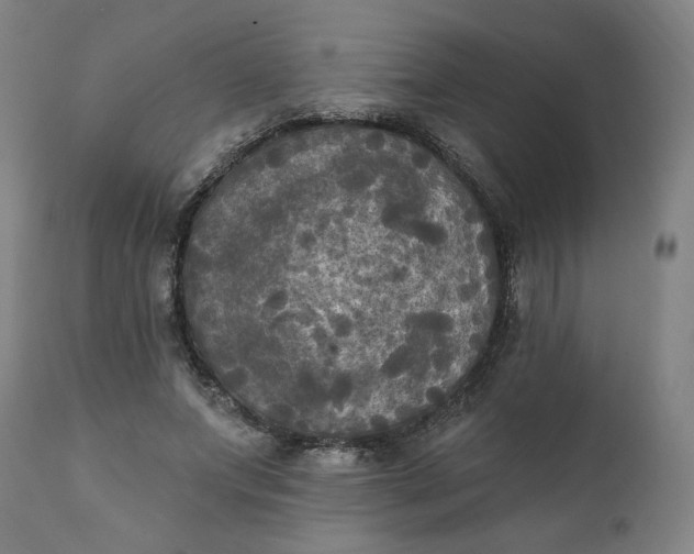 X0000111220687200907161252