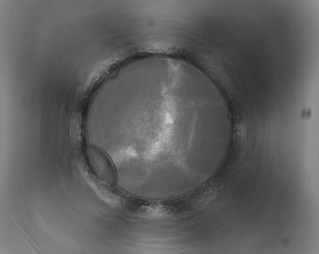 X0000111220688200907161252