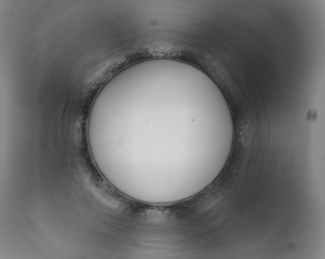 X0000111220690200907161252