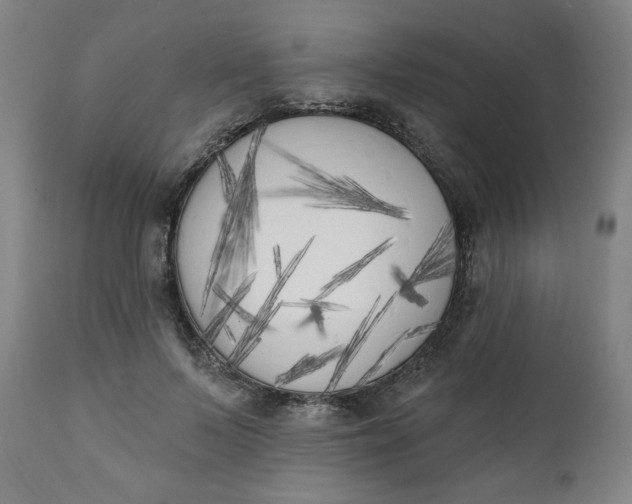 X0000111220695200907161252