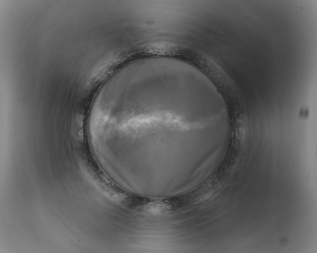 X0000111220696200907161252