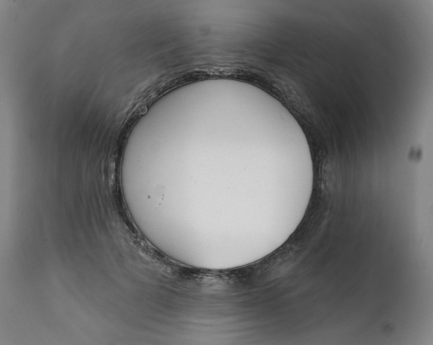 X0000111220697200907161252