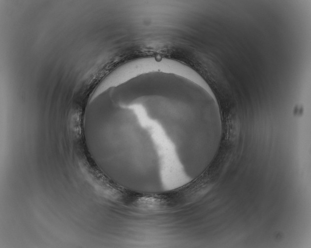 X0000111220699200907161251