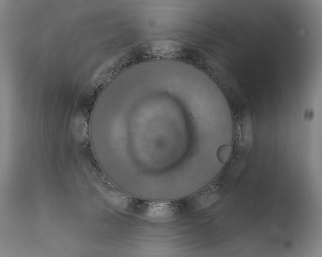 X0000111220705200907161251