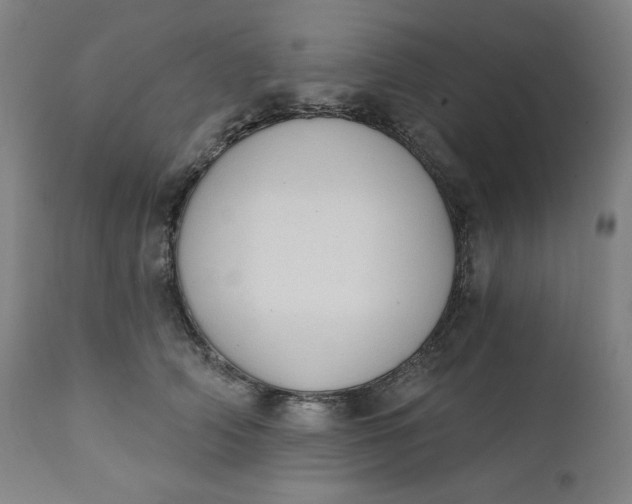 X0000111220706200907161251