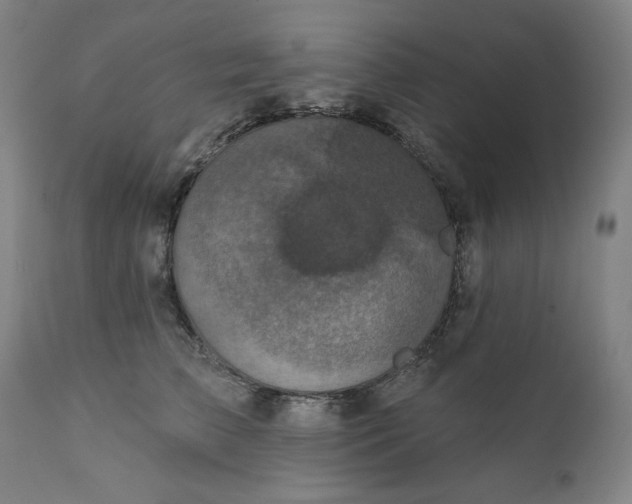 X0000111220709200907161251
