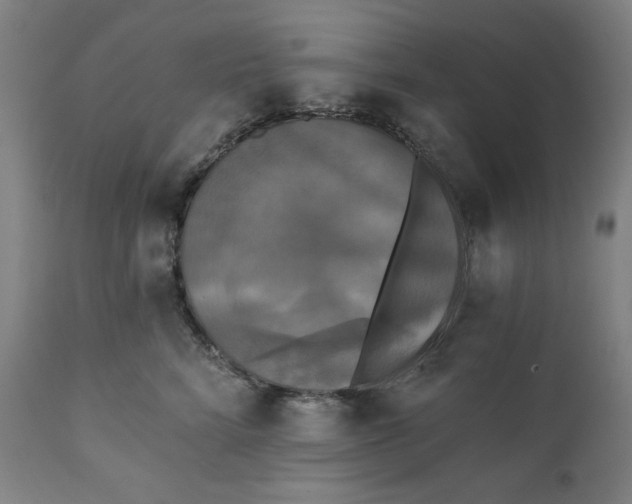 X0000111220712200907161251