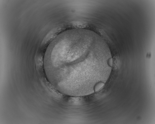 X0000111220713200907161251