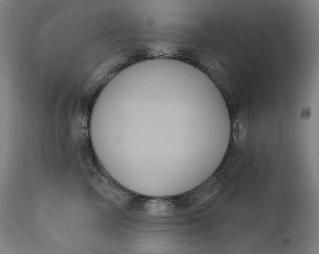X0000111220714200907161251