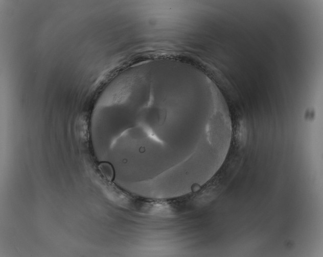 X0000111220715200907161251