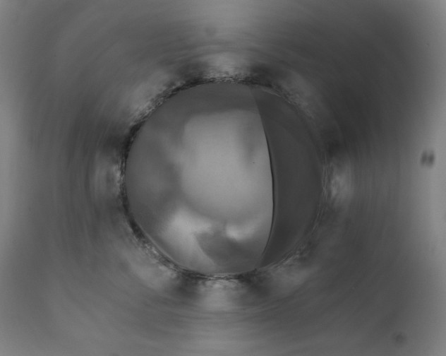 X0000111220716200907161251