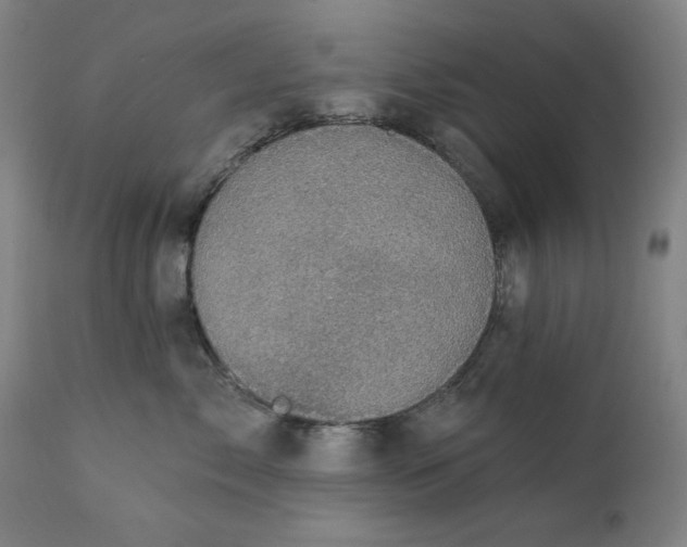 X0000111220717200907161251