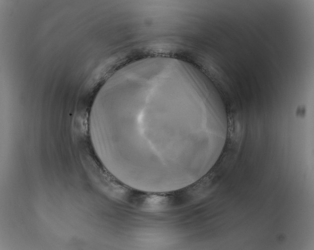 X0000111220718200907161251