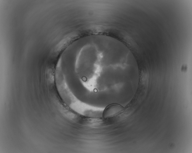 X0000111220719200907161251
