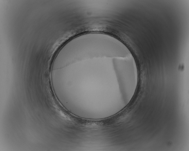 X0000111220721200907161251