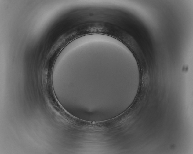 X0000111220722200907161251