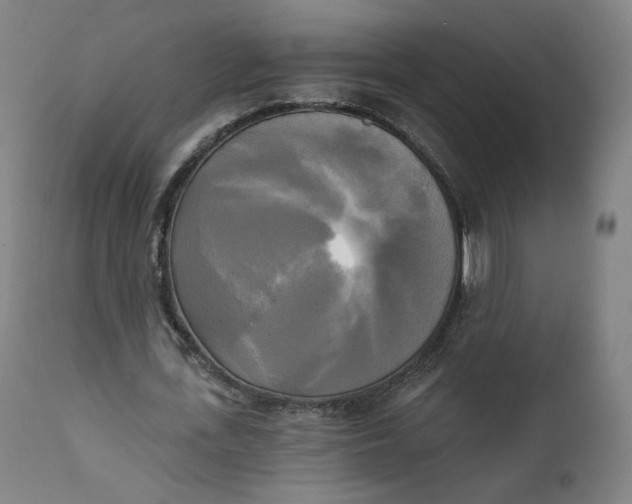 X0000111220723200907161251