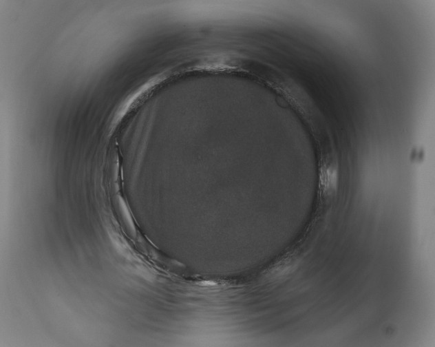X0000111220724200907161251