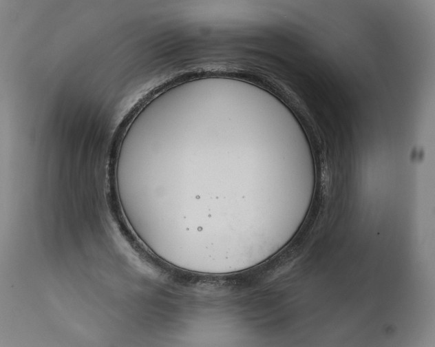 X0000111220725200907161251