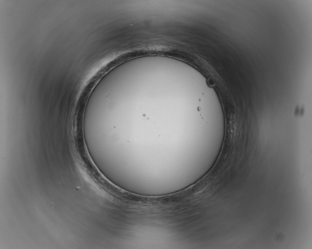 X0000111220726200907161251
