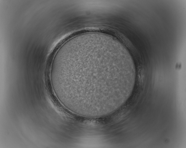 X0000111220728200907161251