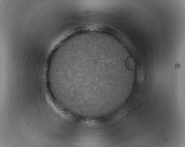 X0000111220730200907161251