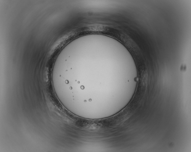 X0000111220731200907161251