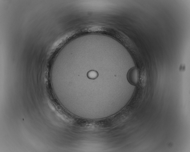 X0000111220732200907161251