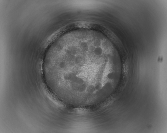X0000111220733200907161251
