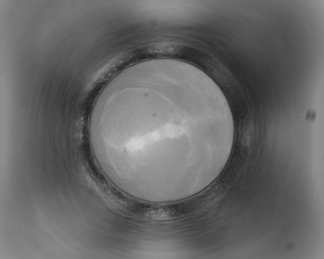 X0000111220735200907161251