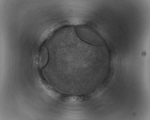 X0000111220736200907161251
