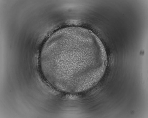 X0000111220739200907161251