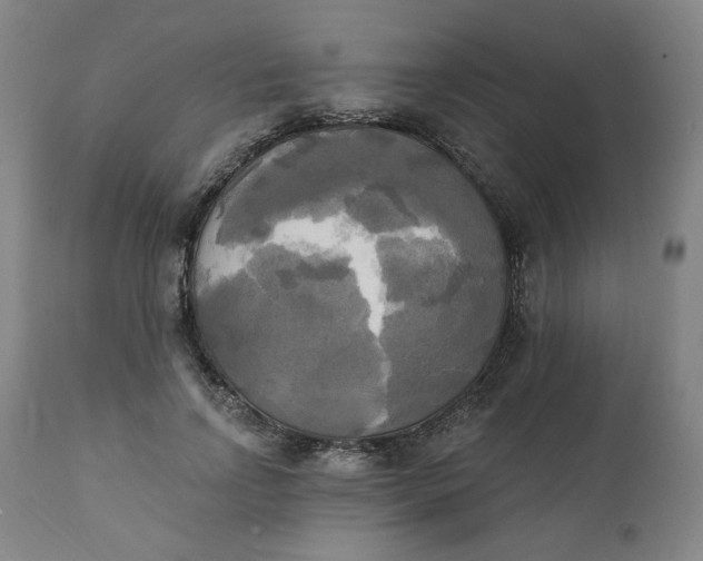 X0000111220742200907161251