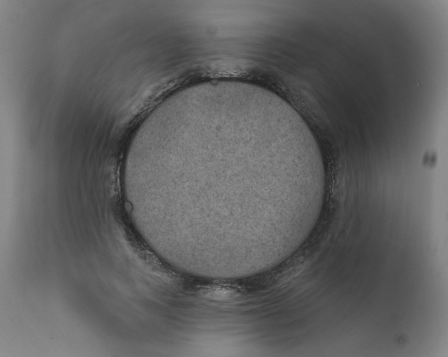 X0000111220743200907161251