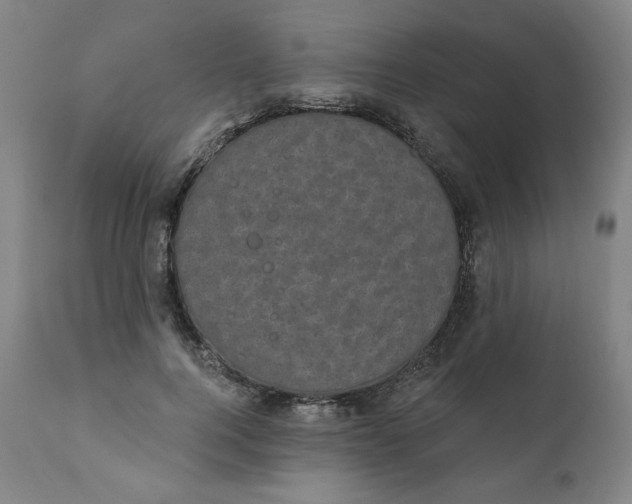 X0000111220744200907161251