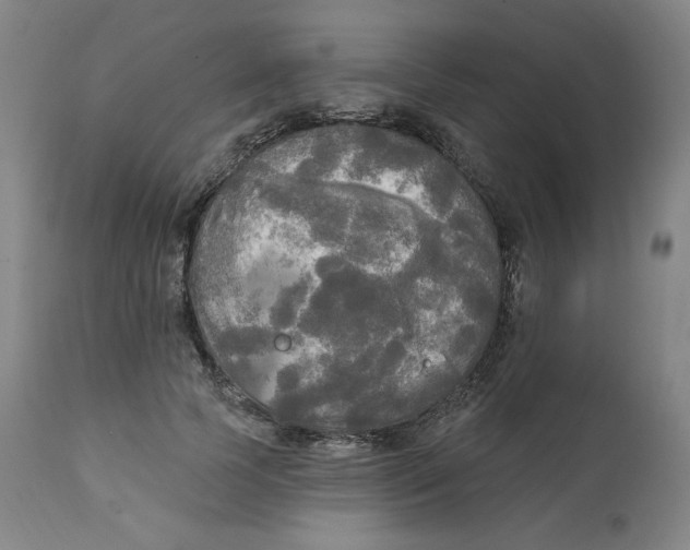 X0000111220745200907161251