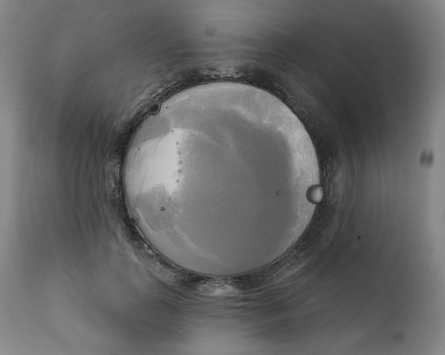 X0000111220747200907161251