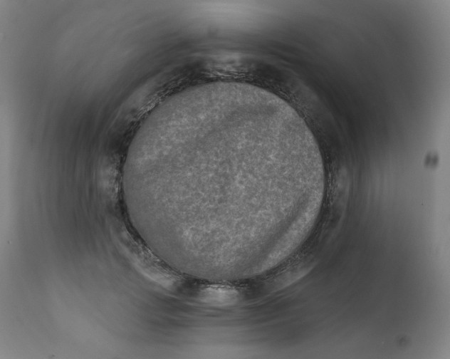 X0000111220749200907161251